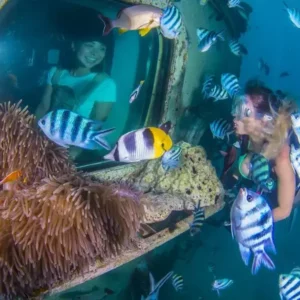 FISH EYE